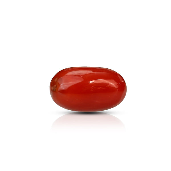 Moonga Red Coral (11 Ratti) - Astro Ankit Sharma 
